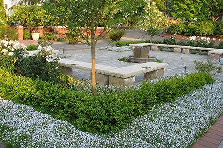 Commercial Patio