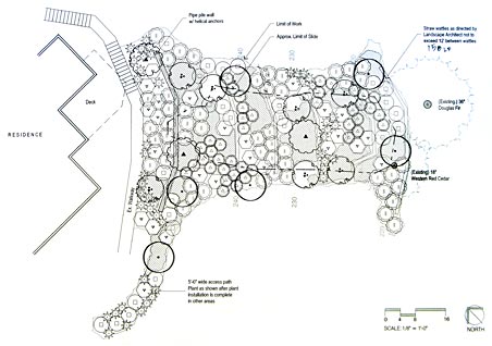 Site Drawing